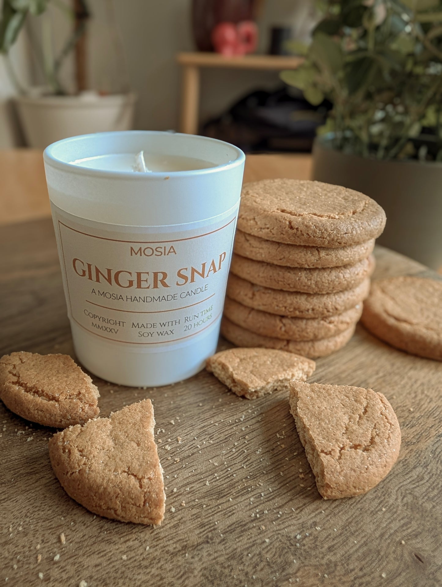 Ginger Snap Candle (9cl)