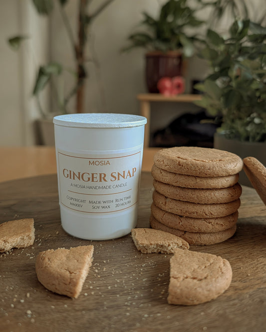 Ginger Snap Candle (9cl)